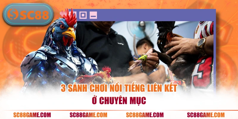 3 sảnh chơi nổi tiếng liên kết ở chuyên mục