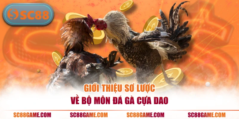 Giới thiệu sơ lược về bộ môn đá gà cựa dao